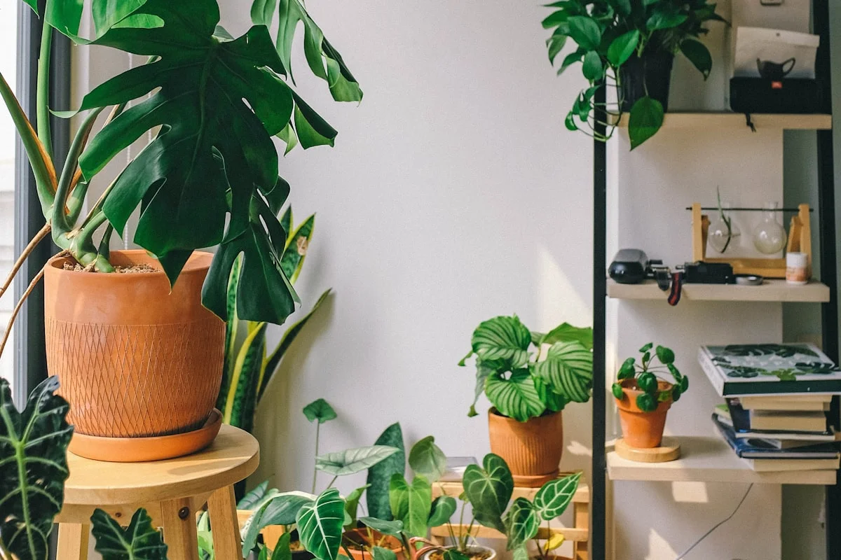 Future Roots case study